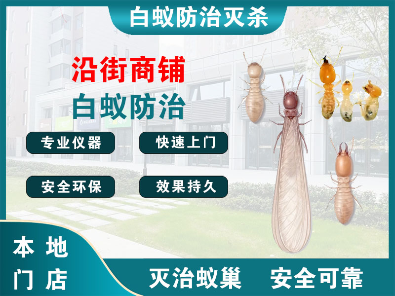 桐乡市沿街商铺白蚁防治
