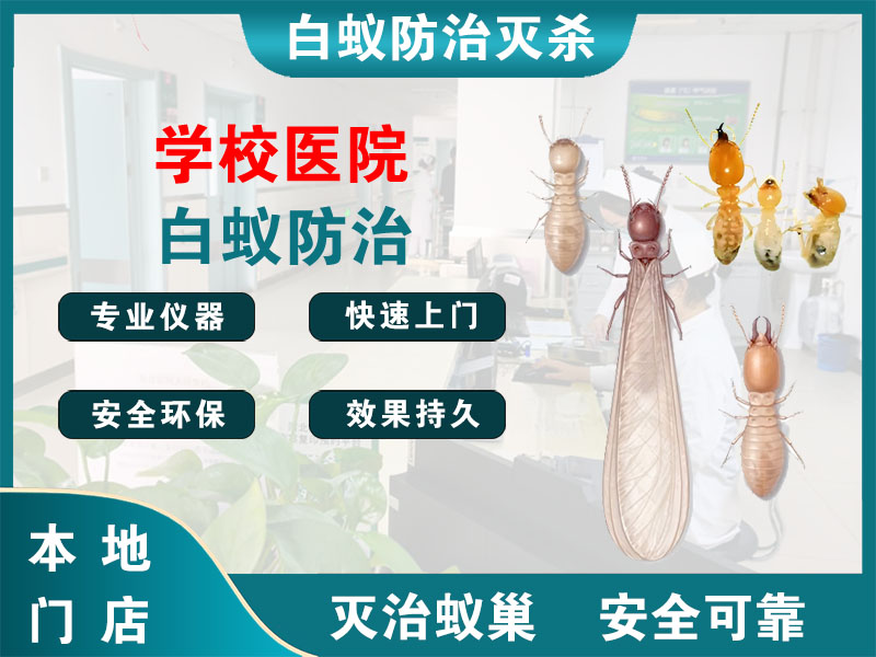 桐乡市学校医院白蚁防治