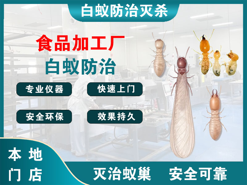 桐乡市食品加工厂白蚁防治
