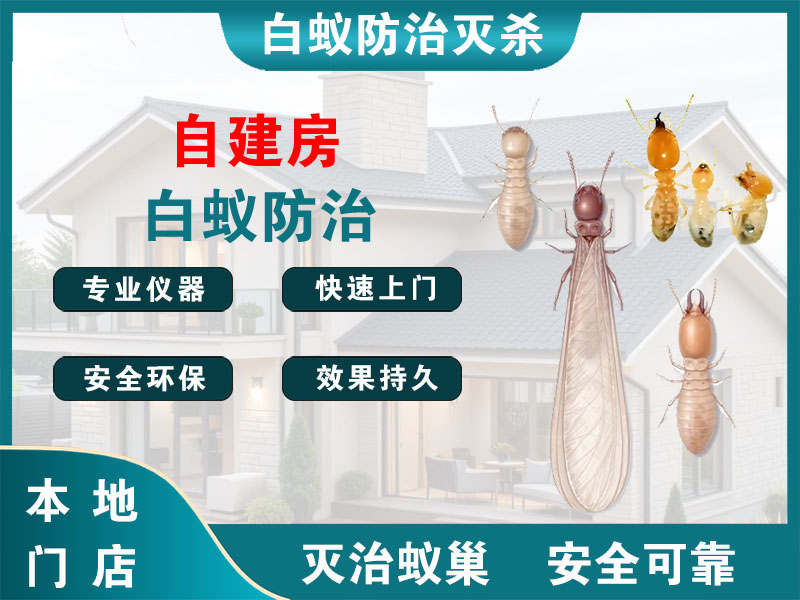 桐乡市自建房白蚁防治