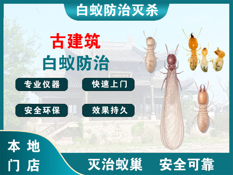 桐乡市古建筑白蚁防治