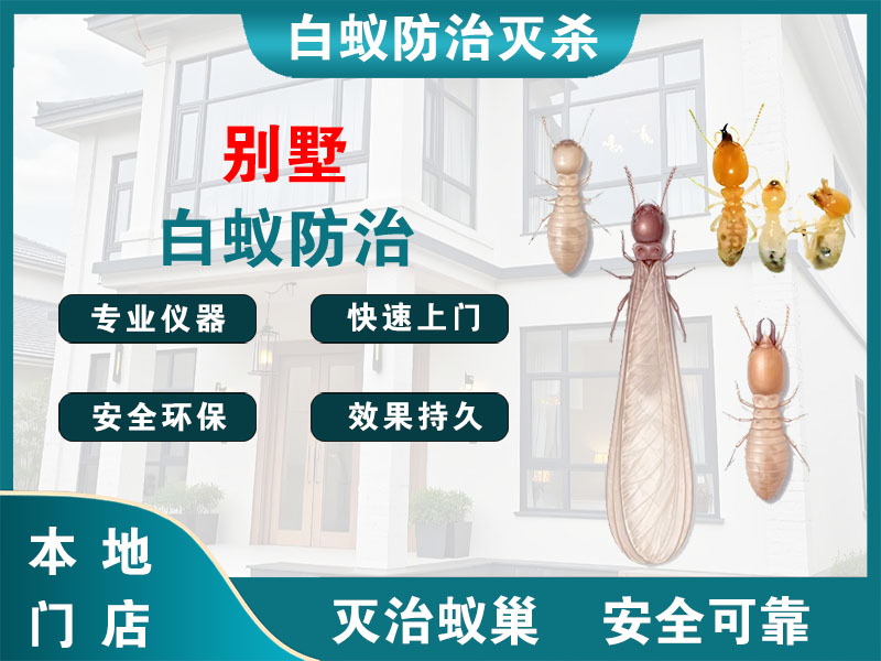 桐乡市别墅白蚁防治
