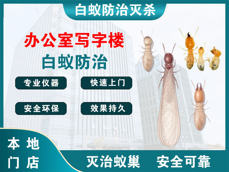 桐乡市办公室写字楼白蚁防治