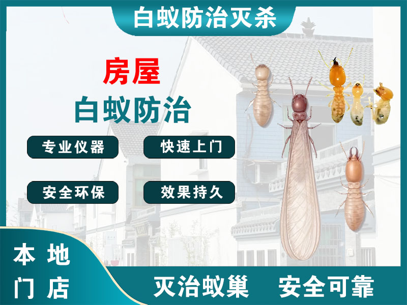 桐乡市房屋白蚁防治